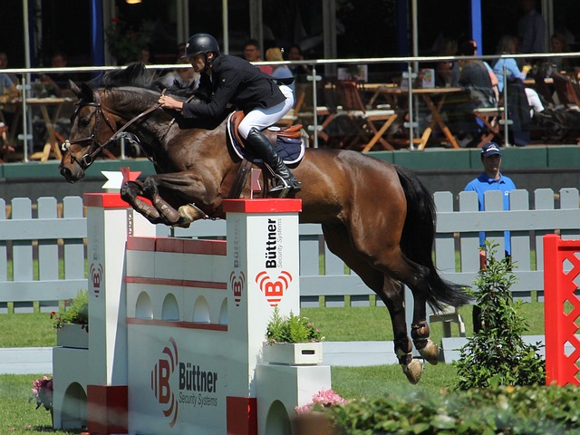 掘金队在球 掘金队在球