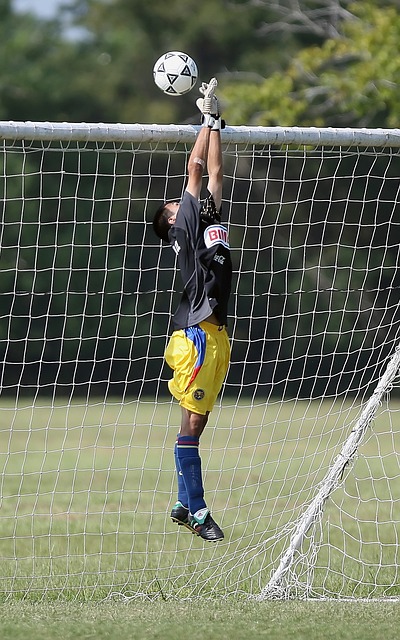 小股东公司 小股东公司