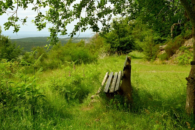 使滕哈赫频 使滕哈赫频